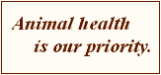 Animal Medical Center...where your animal's health is our priority.